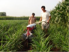 開溝培土機客戶